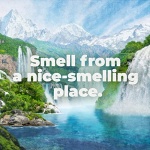 Irish Spring Men's Body Wash Shower Gel, Aloe Mist, 20 Oz, 4 Pack - Image 15