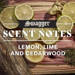 Old Spice Swagger 2-in-1 Shampoo and Conditioner for Men, 29.2 Fl Oz Each, Twin Pack - Image 3