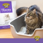 Dr. Elsey's® Clean Tracks Clumping Clay Cat Litter 40 lb. Bag - Image 4