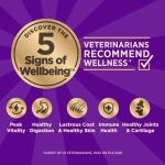 Wellness CORE+ Sensitive Skin & Stomach Dry Dog Food with Freeze Dried Pieces, Wholesome Grains, High Protein, Natural, Salmon & Rice Recipe, (4-Pound Bag) - Image 7