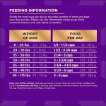 Wellness CORE+ Sensitive Skin & Stomach Dry Dog Food with Freeze Dried Pieces, Wholesome Grains, High Protein, Natural, Salmon & Rice Recipe, (4-Pound Bag) - Image 2