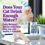 Wellness Appetizing Entrées Mousse, Adult Wet Cat Food, Natural, Protein-Rich, Grain-Free, 2.8 Ounce Pouch, 8 Pack, (Chicken & Herring Recipe) - Image 5