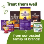 Wellness WHIMZEES Fall Dog Dental Treats, Autumn Natural Chews for Dogs, Small Size Stick, (12 Count) - Image 2