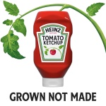 Heinz Tomato Ketchup, 32 oz Bottle - Image 6